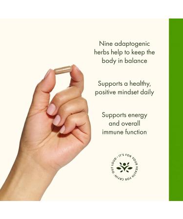 Swanson Rhodiola Ashwagandha Ginseng Complex Mood Energy Immune Function Nervous System Stress Support Adaptogen Herb Supplement 60 Capsules (3 Pack) - Buy Online on GoSupps.com