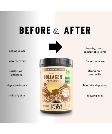 Earth Fed Muscle Chocolate Collagen Peptides Powder Grass Fed Hydrolyzed Collagen for Women & Men - Healthy Bones, Skin & Hair - Types 1 & 3 Collagen Powder, 20g Per Serving, 19 Servings Chocolate 1 Pound (Pack of 1) - Buy Online on GoSupps.com