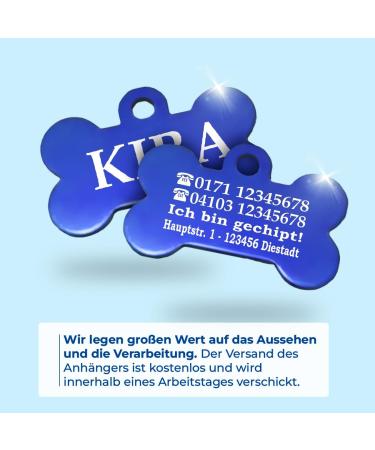 Personalized Bone-Shaped Dog & Cat Pendants - Custom Engraved Neck Bands | Ibera Gifts - Buy Online on GoSupps.com