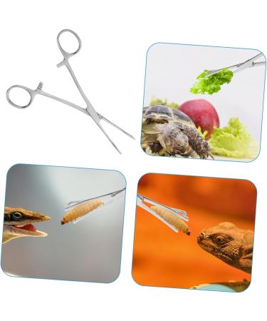 Happyyami Reptile Feeding Clip Reptile Supplies Feeding Tools Snake Tong Silver Stainless Steel - Buy Online on GoSupps.com