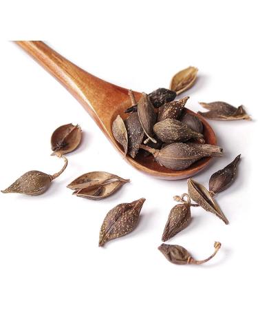 Forsythia Tea: 100% Therapeutic Grade Dried Forsythia Fruit Herb - 60g/2.11oz - Buy Online on GoSupps.com