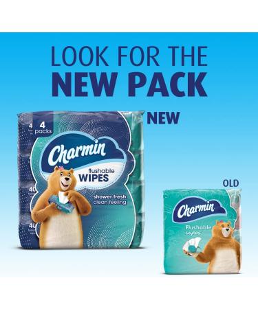 Charmin Flushable Wipes - 480 Total Wipes, 12 Packs of 40, Packaging May Vary - Buy Online on GoSupps.com