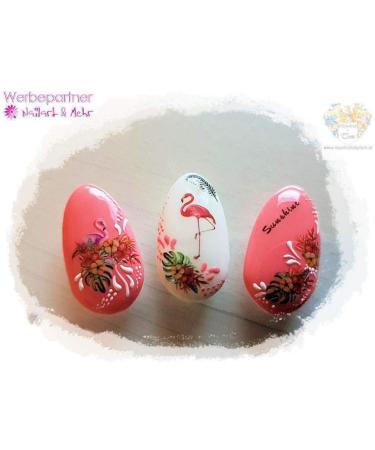 N+M SUPREME Neon Pastel Red Color Gel 5g - Opaque No Stirring UV/CCFL/LED Compatible | Shop Internationally - Buy Online on GoSupps.com