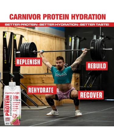 MuscleMeds Carnivor Protein Hydration RTD Ready to Drink Lactose Free Sugar Free 30g Isolate Protein Halal Certified Berry Blast 16.9 Fl Oz (Pack of 12) - Buy Online on GoSupps.com