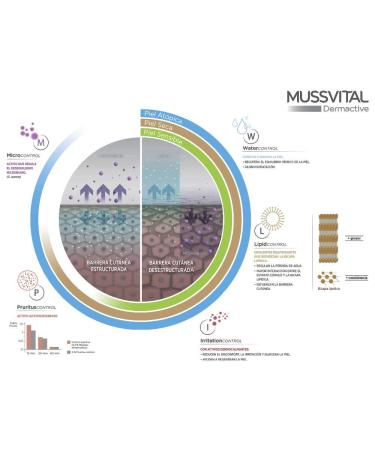 Mussvital Dermactiv Hidrat P Sensible 1L - Moisturizing Solution for Sensitive Skin - Buy Online Internationally - Buy Online on GoSupps.com