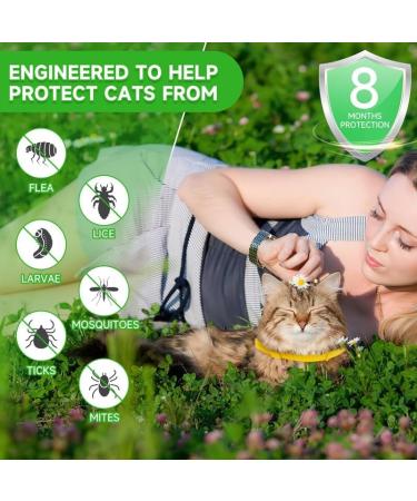 Cat Repellent Treatment Adjustable Cat Repellent Collars Natural Protection Repellent Collar for Cats Water Resistant Repellent Collar for Cats Small-Medium-Large Yellow 2pack - Buy Online on GoSupps.com