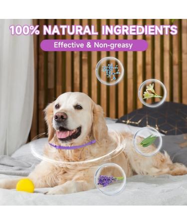 Woyamay Calm Collar for Dogs | Adjustable Sedative Collar with Pheromones | Natural Stress Relief for All Sizes | 60 Days Action | 2 Pieces (Violet Purple) - Buy Online on GoSupps.com