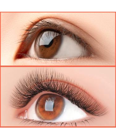 Premade 3D Eyelash Extensions - Handmade Russian Volume Fans | Soft Mink Individual Eyelashes 8-14mm - International Supplier - Buy Online on GoSupps.com