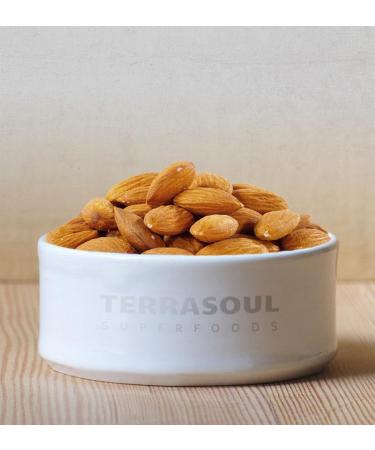 Terrasoul Superfoods Raw Organic Almonds 6 Lbs (3 Pack) - Unpasteurized & Premium Quality - Buy Online on GoSupps.com