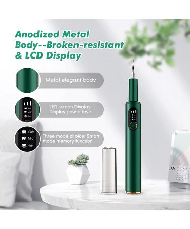 Electric Rechargeable Plaque Remover with LED Light - Teeth Cleaning Kit for Adults - Oral Care at Home - Green (3 Replacement Heads) - Buy Online on GoSupps.com
