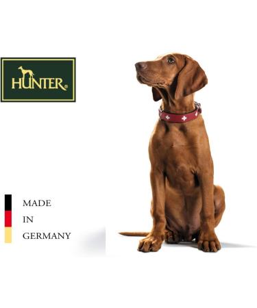 HUNTER SWISS Dog Collar - High Quality Leather with Swiss Cross | Red/Black Size 42 (SM) - International Shipping Available - Buy Online on GoSupps.com