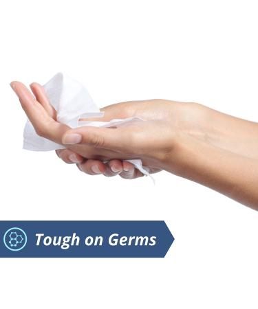 Antibacterial Hand & Body Sanitizing Bathing Wipes (10 Pack) | Alcohol-Free Antiseptic Cleansing Wipes for Adults - Convenient and Hygienic Bathing Solution - Buy Online on GoSupps.com