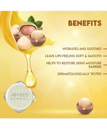 FTJOVIS Moisture Surge Lip Balm Hydrates Rejuvenates with all natural ingredients that restores hydration heals dry and flaky lips & nurtures your lips (8g Shea Butter) Shea Butter 1 Count (Pack of 1) - Buy Online on GoSupps.com