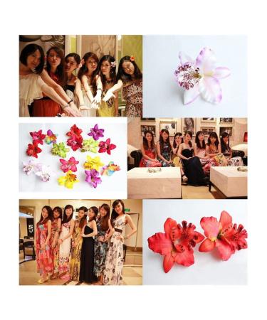 12-Piece Bohemia Orchid Flower Alligator Clips - Tropical Hair Pins for Women & Girls - Buy Online on GoSupps.com