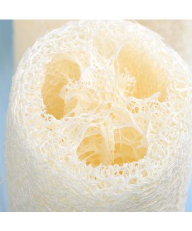 EXCEART 6pcs Loofah Scrub Shower Sponge Pads - Exfoliating Luffa Bath Sponges for a Refreshing Clean | Soft Body Loofah Pad & Shower Pouf - Buy Online on GoSupps.com