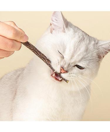 Hiqe-fl Cat Toy Set - 6pcs Catnip Sticks & 15pcs Dental Toys for Cats - Matatabi Chewing Wood - Safe & Natural Chewing Toy - Buy Online on GoSupps.com