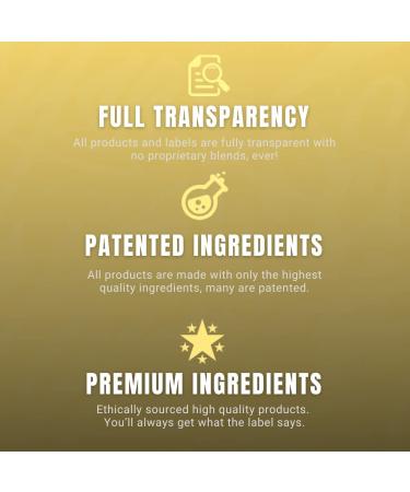 Ryse Core Series Loaded Protein - 25g Whey Protein, Prebiotic Fiber, MCTs - Cinnamon Toast - Buy Online on GoSupps.com