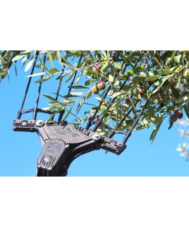 Buy Award-Winning Jordan Bio Olive Oil - 5L Greek Organic Olive Oil from Lesbos - Cold-Pressed & Handpicked - Buy Online on GoSupps.com