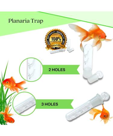 Crystal Red Shrimp Tank Planaria Trap - Bristle Worm Catcher for Cherry Shrimp, Dwarf Shrimp & Ghost Shrimp - Freshwater Cleaning Supplies - Buy Online on GoSupps.com