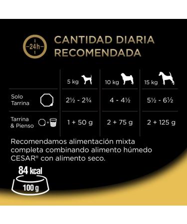 Cesar Wet Dog Food - Rural Recipes in Sauce 24 Pack (6 x 4 Cups 150g) - Premium International Shipping - Buy Online on GoSupps.com