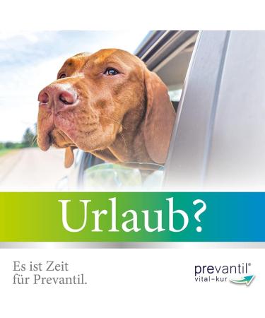 Elanco PREVANTIL Vital Cure for Dogs & Cats - 100 ml Supplementary Feed with Cactus Fig Extract | Stress Relief & Easy Dosing Aid - Buy Online on GoSupps.com