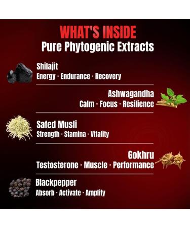 Naturesactiv MX 60 Caps | Shilajit/Shilajeet ashwagandha Gokshuru Safed Musali | 100% Natural Extracts | Daily Support for Energy Strength & Focus | Non-GMO Made in India - Buy Online on GoSupps.com