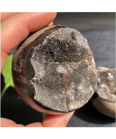 FUERLI Natural Stones and Minerals Large Beautiful Dragon septarian geode Egg Around 200-1000g Home Decoration Very (Size : 400-500g) HOMEZHOU (Size : 500-600g) - Buy Online on GoSupps.com
