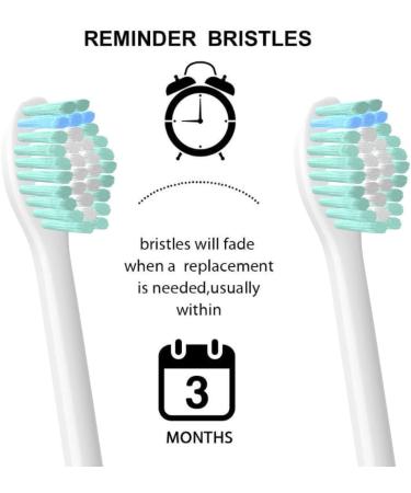 Yanban 4-Pack Replacement Toothbrush Heads for Philips Electric Toothbrush Compatible with Essence Elite Xtreme Advanced & Cleancare - Buy Online on GoSupps.com