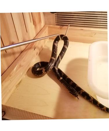 POPETPOP telescoping pole with hook pocket stainless steel snake tong telescoping snake hook snake hooks and grabbers snake tool sidewinder Collapsible Snake Hook reptile telescopic grapple - Buy Online on GoSupps.com