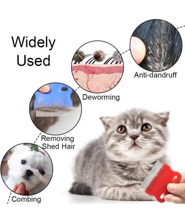6 Pcs Pet Flea Combs Multi-Use Shell Combs for Dogs and Cats - Pet Combs for Removing Fleas Dandruff and Hair Stains - Buy Online on GoSupps.com