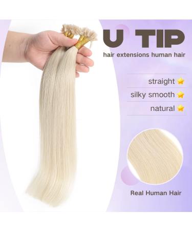 Blonde U Tip Hair Extensions Real Human Hair 50 Strands 40g Pre Bonded Hair Extensions Platinum Blonde Keratin Hair Extensions #60 14inch 14Inch #60 Platinum Blonde - Buy Online on GoSupps.com