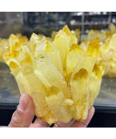 Natural Crystal Rough Natural Crystal Rough Natural Crystal Natural Phantom Phantom Quartz Crystal Cluster Rock Stone Power Stone Crystal 550-630g - Buy Online on GoSupps.com