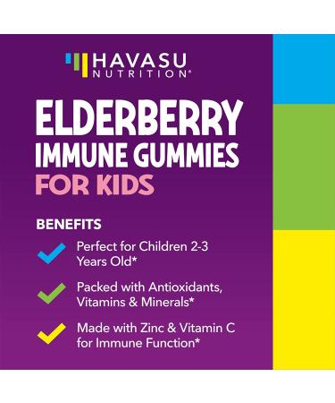 Elderberry Gummies for Kids with Zinc & Vitamin C | Immune Defense Support | Vegan Gummies 60 Count - Buy Online on GoSupps.com