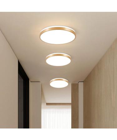Horevo 30cm Bluetooth Ceiling Lamp - Dimmable & Color-Changing Remote Control 24W Champagne Gold Light & Speaker for Kids Room and Bedroom - Buy Online on GoSupps.com