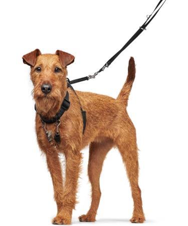 HUNTER Training & Education Harness - Side by Side - Black (39-51 cm) | International Shipping Available - Buy Online on GoSupps.com