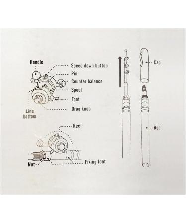 Lixada Mini Telescopic Fishing Rod Combo Set - Portable Pocket Pen Fishing Pole with Reel - Black - International Shipping Available - Buy Online on GoSupps.com