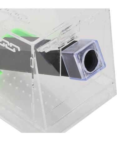 Cricket Keeper Cricket Keeper Tank Box with Feces Layer Acrylic for Observation Of Breeding (22x8.5x4.5cm / 8.7x3.3x1.8in) - Buy Online on GoSupps.com