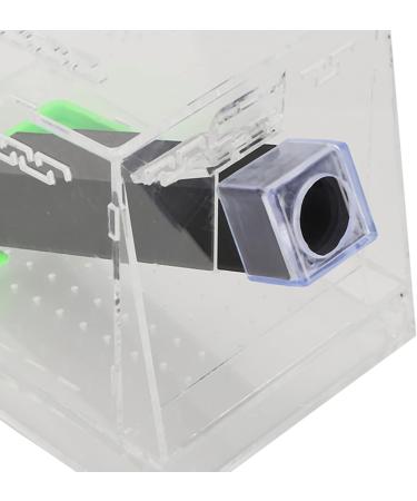 Cricket Keeper and Sturdy Cricket Keeper with Tubes for Home for Office (Small Size) - Buy Online on GoSupps.com
