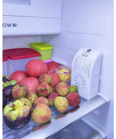 6-Pack 200g Activated Carbon Bamboo Charcoal Bags for Refrigerator, Wardrobe, Closet, Shoebox, Drawer, Pet Home - With Plastic Box - Air Purifying Bag for Storage Room - Buy Online on GoSupps.com