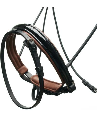 Buy Dream Forest Horse Code Bridle for Warmbloods - Quality Equestrian Gear | Worldwide Shipping - Buy Online on GoSupps.com