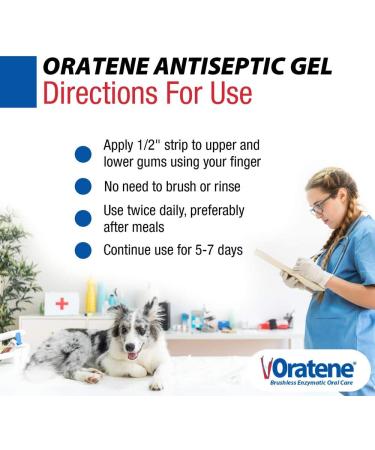 ZYMOX Oratene Brushless Oral Gel for Dogs and Cats - 1oz by Pet King Brands - Buy Online on GoSupps.com