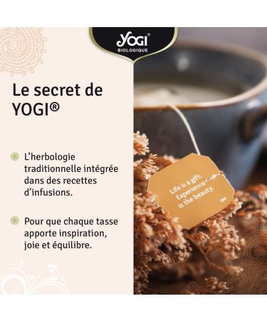 Yogi Biologique D fenses Immunitaires Infusion 100% Bio chinac e Jus d'Ac rola s ch et Orange 12 Sachets thermosoud s et sans agrafe 24 g 311011 D fense Immunitaire - Buy Online on GoSupps.com