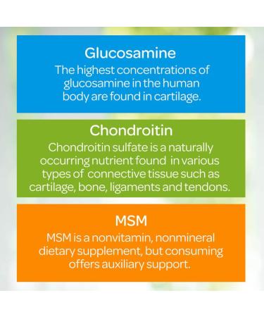 Joint Support Supplement 120ct by Puritan's Pride: Glucosamine, Chondroitin, MSM, Omega 3 6 9 for Joint Comfort & Flexibility - Buy Online on GoSupps.com