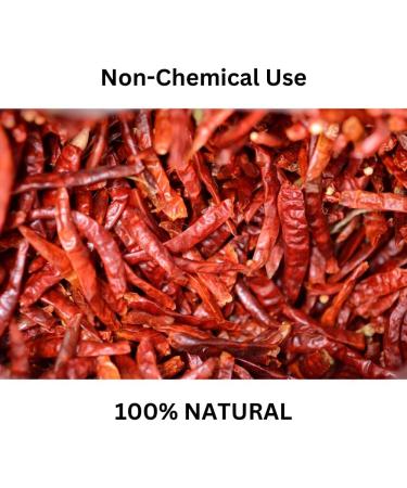 (113g / 4 oz) Red Thai Chili Peppers Bag Genuine Hot Whole Chilis Dried Fresh for Cooking Asian Foods Soups & Curry - by ANCIENT HERB - Buy Online on GoSupps.com