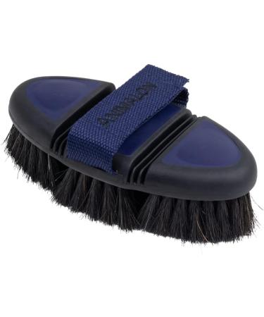 Animalon Kard tsche for Dogs | Natural Bristle Brush for Short Hair | Gentle Fur Care | Innovative Dog Grooming Tool (Small Blue) - Buy Online on GoSupps.com