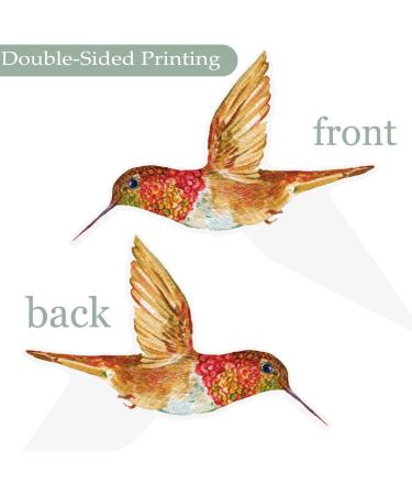48Pcs Hummingbird Cupcake Toppers Hummingbird Birthday Decorations Hummingbird Party Decorations Hummingbird Cake Topper for Spring Birds Birthday Baby Shower Supplies - Buy Online on GoSupps.com