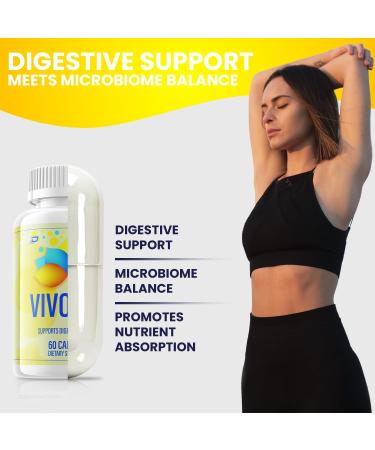 Indelo VivoGut Capsules Vivo Gut Pills All-Natural Daily Supplement Digestive Support Gut Wellness Pastillas Review (3 Pack - 180 Capsules) - Buy Online on GoSupps.com
