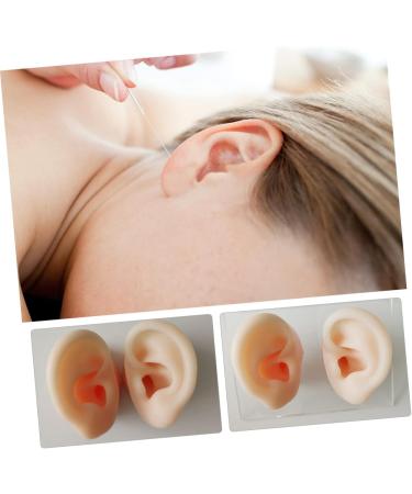 Hemoton Silicone Ear Model Set for Practice and Display | Ear Picking & Simulation Props - Buy Online on GoSupps.com