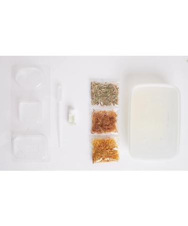 Shop Handmade Soap Kit | DIY Soap Making Supplies & International Shipping - Buy Online on GoSupps.com