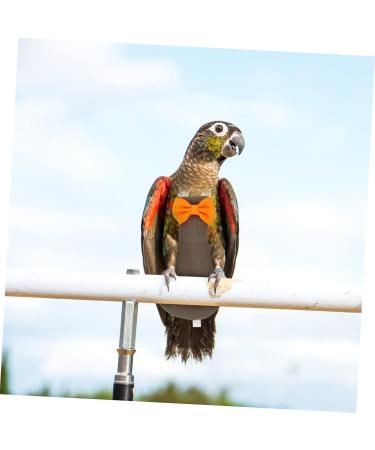 PopetPop Flying Bird Diapers - Premium Pigeon & Parrot Flight Suit | ARA WellensiTich Neoprene Urine-Proof Diapers for Birds (17x9cm) - Buy Online on GoSupps.com